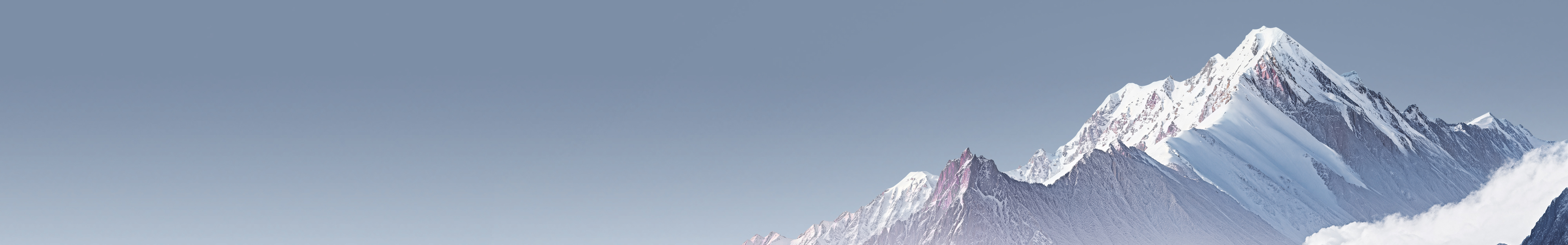 investor-banner